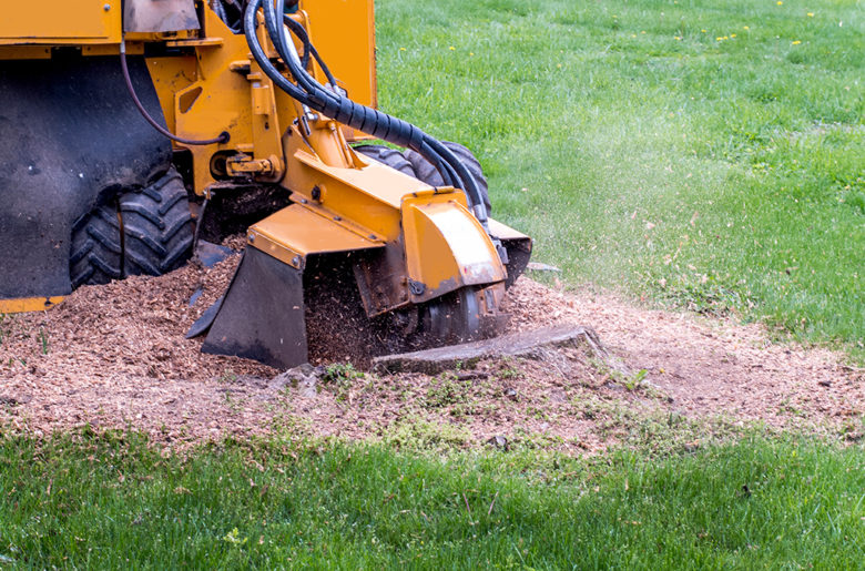 Stump Grinding Service Near Me Landscape Lighting Experts Near Me